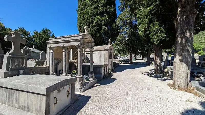 L'allée centrale du cimetière de Bessèges