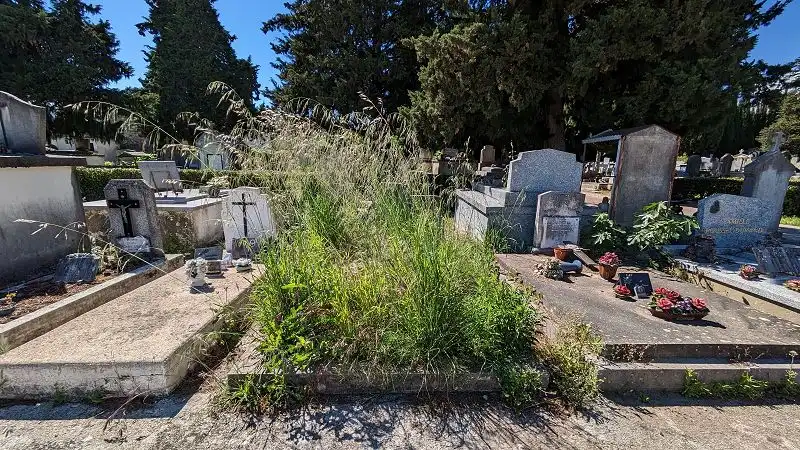 Une tombe en graviers envahie de végétation